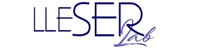 lleser logo