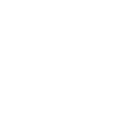 innovación partner ícono